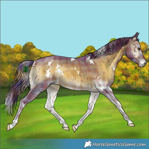 Horse Color:Watercolor Plaid  White Spotted Liver Red Onyx 