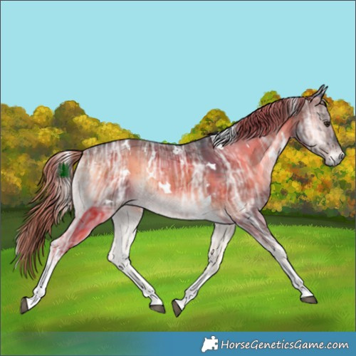 Horse Color:Plaid White Spotted Liver Red Onyx Ice Tobiano Rabicano Brindle