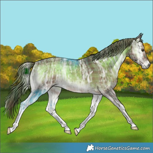 Horse Color:Plaid  White Spotted Liver Red Onyx Ice 