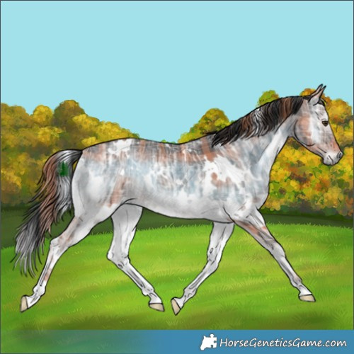 Horse Color:Plaid  White Spotted Liver Red Onyx Ice Brindle 