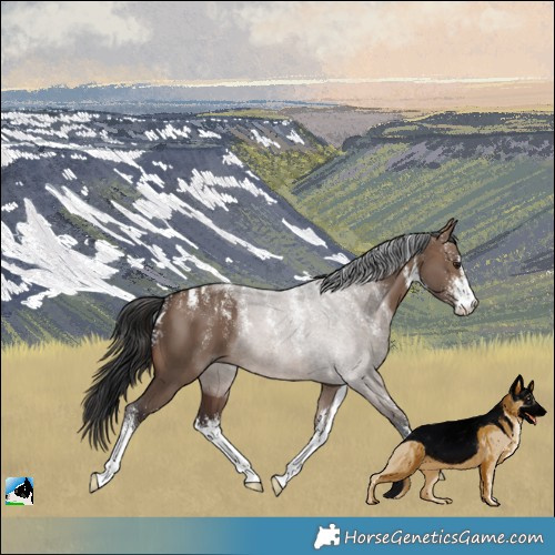 Horse Color:Powder White White Spotted Brown Dun 