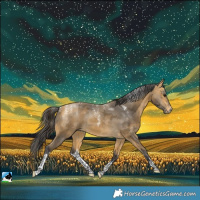 Horse Color:Powder White White Spotted Buckskin Merle