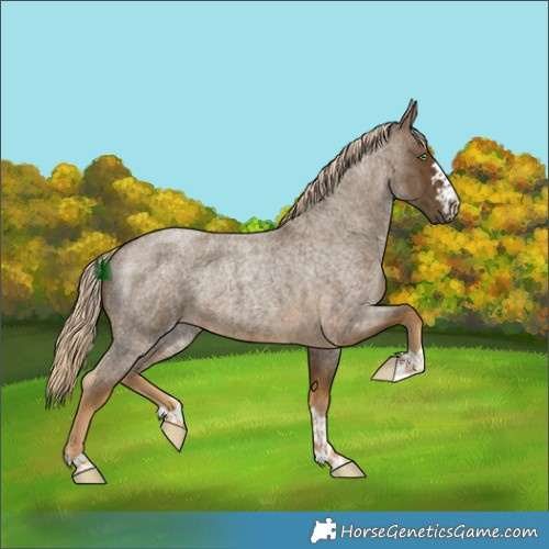 Horse Color:Chocolate Palomino Roan Mushroom Rabicano 