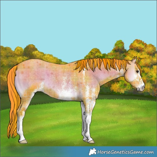 Horse Color:Watercolor Plaid White Spotted Liver Red Onyx Roan