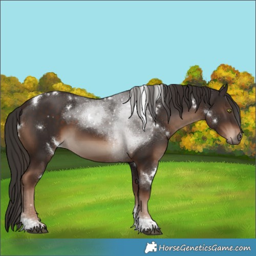 Horse Color:White Spotted Liver Chestnut Tobiano 