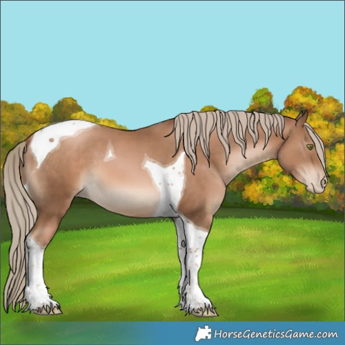 Horse Color:Liver Chestnut Pearl Tobiano 