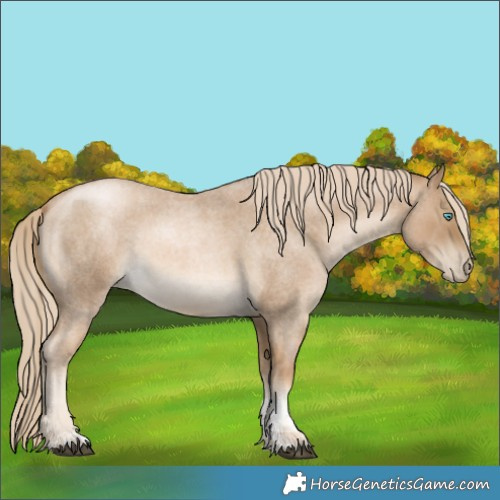 Horse Color:Chocolate Palomino Roan Pearl Sabino 