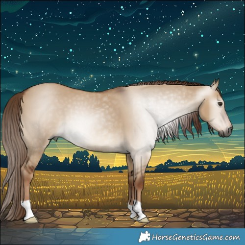 Horse Color:Gray Red Dun 