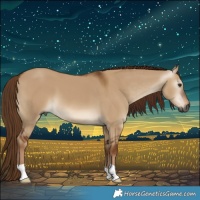 Horse Color:Gray Red Dun