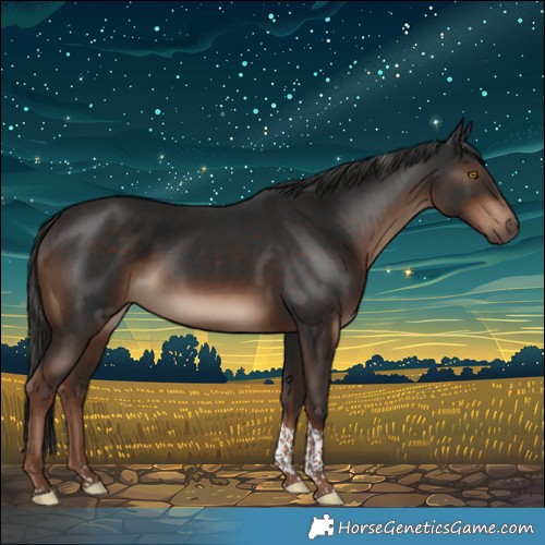 Horse Color:Liver Chestnut Tobiano Rabicano 