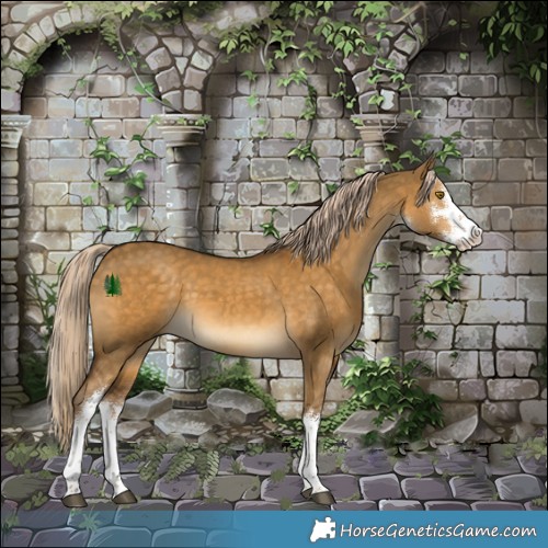 Horse Color:White Spotted Chocolate Palomino Dun