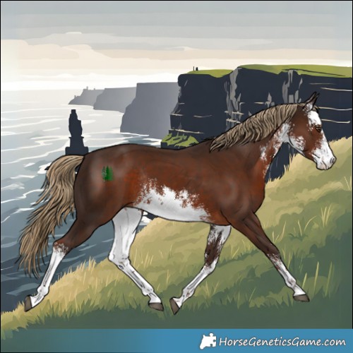 Horse Color:White Spotted Liver Chestnut Rabicano 