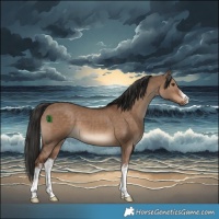 Horse Color:White Spotted Liver Red Dun 