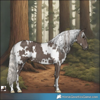 Horse Color:White Spotted Silver Black 