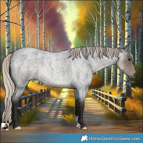 Horse Color:Silver Smoky Blue Roan 