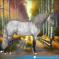 Horse Color:Silver Smoky Blue Roan