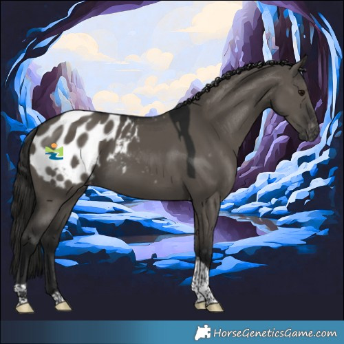 Horse Color:Gray Smoky Grullo Tobiano Appaloosa