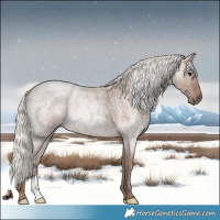 Horse Color:Silver Blue Roan 