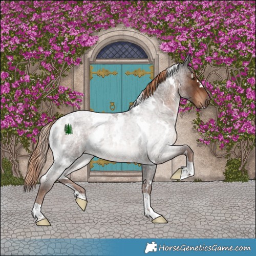 Horse Color:White Spotted Liver Red Roan Rabicano