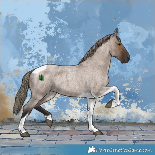 Horse Color:Liver Red Dun Roan Tobiano 