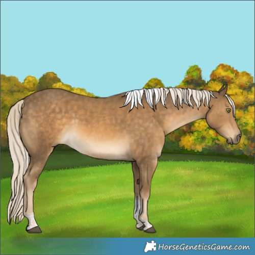 Horse Color:Chocolate Palomino Mushroom Tobiano