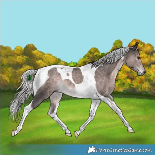 Horse Color:Platinum Chocolate Palomino Tobiano 