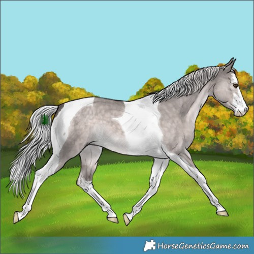 Horse Color:Platinum White Spotted Chocolate Palomino Dun Tobiano 