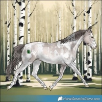 Horse Color:Platinum White Spotted Liver Chestnut Pearl Sabino