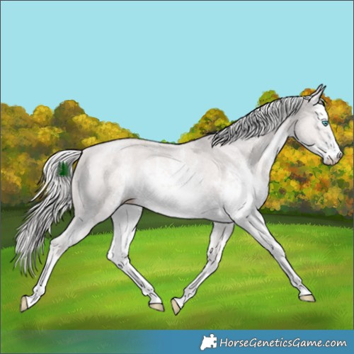 Horse Color:Platinum White Spotted Cremello Sabino 