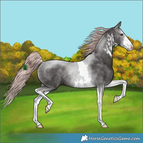 Horse Color:Platinum White Spotted Liver Chestnut Tobiano Rabicano
