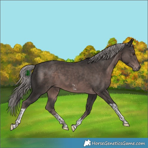 Horse Color:Platinum Liver Chestnut Sabino Tobiano 