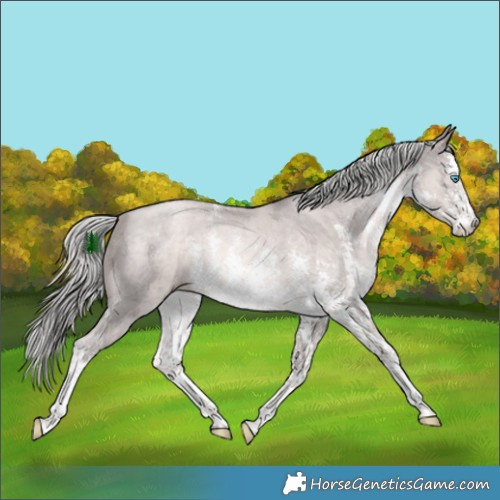 Horse Color:Platinum White Spotted Chocolate Palomino Pearl Sabino 