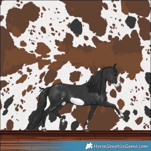 Horse Color:Black Frame 