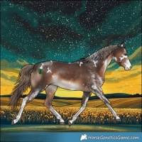 Horse Color:White Spotted Liver Chestnut Rabicano 