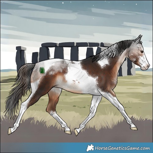 Horse Color:White Spotted Liver Chestnut Tobiano