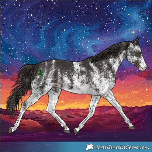 Horse Color:White Spotted Liver Chestnut 