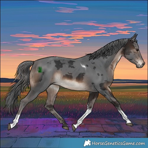 Horse Color:Brown Merle Tobiano