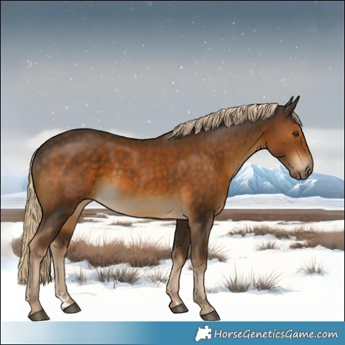Horse Color:Chocolate Palomino 