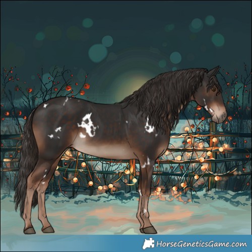 Horse Color:White Spotted Liver Chestnut 