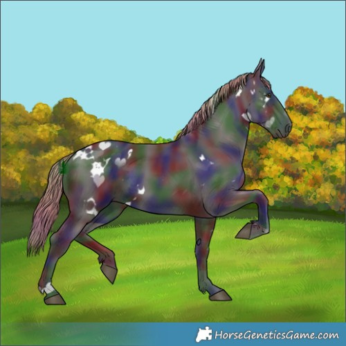 Horse Color:Nacre White Spotted Liver Chestnut 