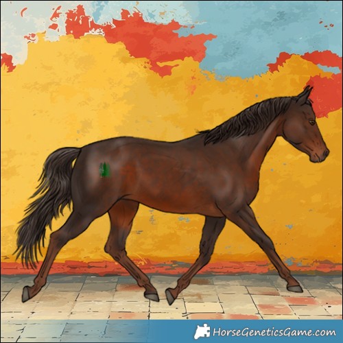 Horse Color:White Spotted Liver Chestnut 