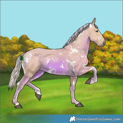 Horse Color:Watercolor White Spotted Chocolate Palomino 