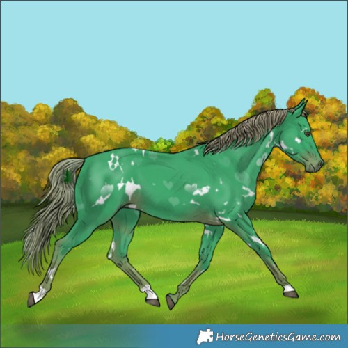 Horse Color:Watercolor White Spotted Liver Chestnut 
