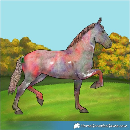Horse Color:Nacre White Spotted Liver Red Roan 