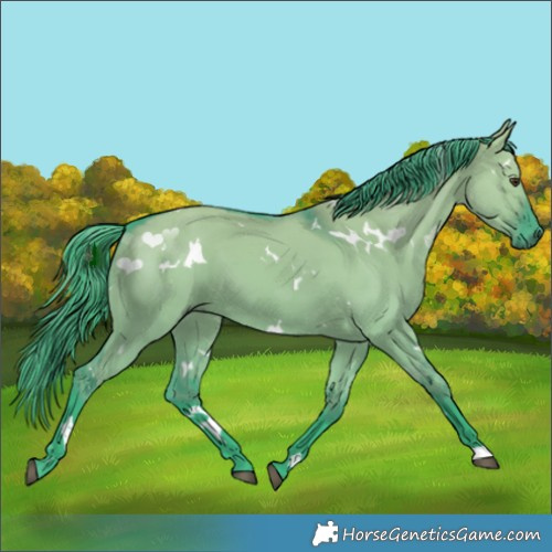 Horse Color:Watercolor White Spotted Liver Red Dun 
