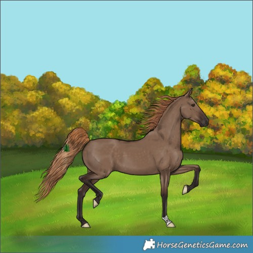 Horse Color:Liver Red Dun 