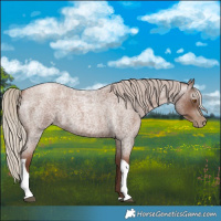 Horse Color:Gray Silver Blue Roan Pearl Tobiano 