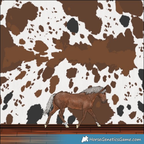 Horse Color:Silver Black 