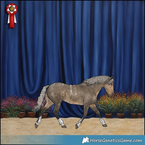 Horse Color:Powder White Silver Smoky Grullo Tobiano 