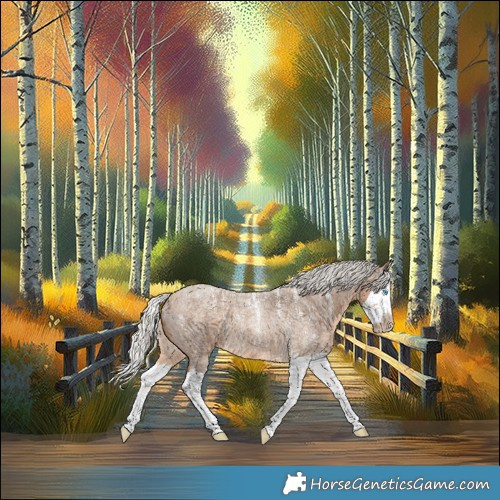 Horse Color:Powder White Gray Silver Perlino Roan Splash 